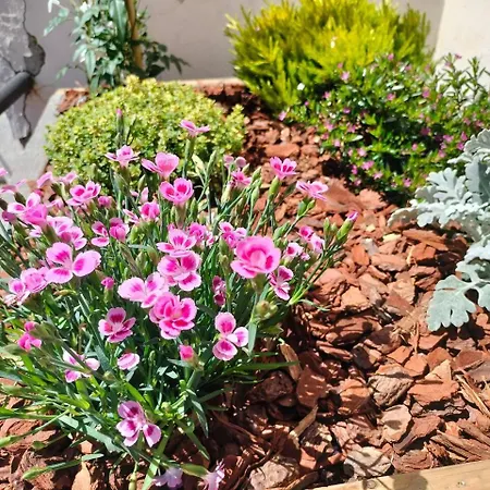 Ht Miribilla Turisticas Con Banos Compartidos Sin Ascensor *