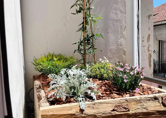 Kwatera prywatna Ht Miribilla Turisticas Con Banos Compartidos Sin Ascensor